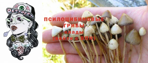 ECSTASY Арсеньев